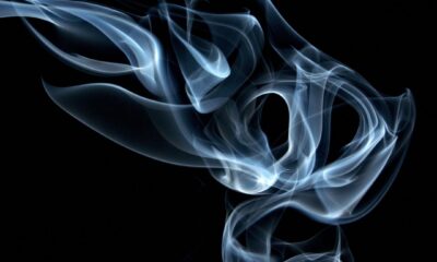 Can Jinn Enter Paradise